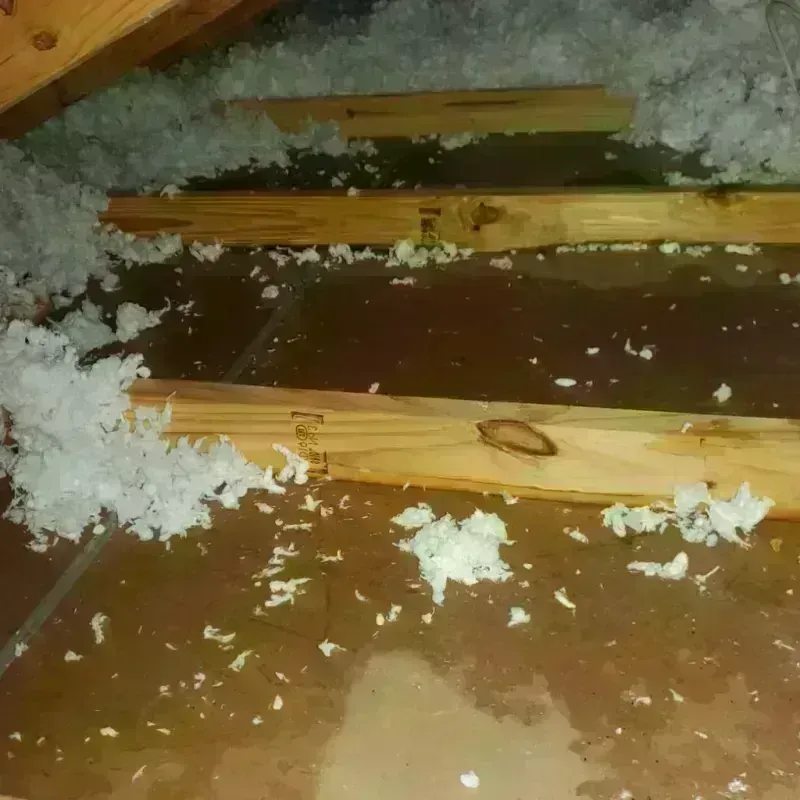 Attic Water Damage in Waipio, HI